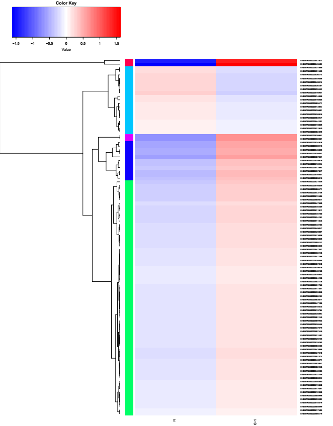 原核链特异性转录组分析示例5.png