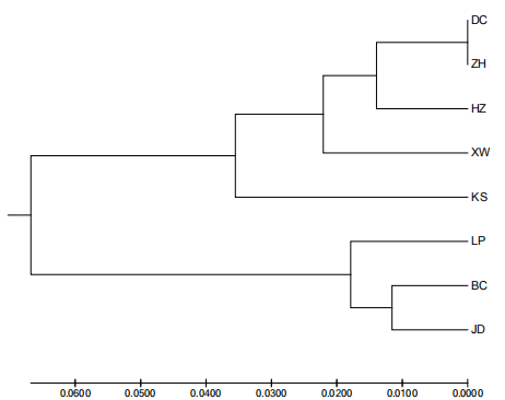 简化基因组GWAS测序分析示例6.png