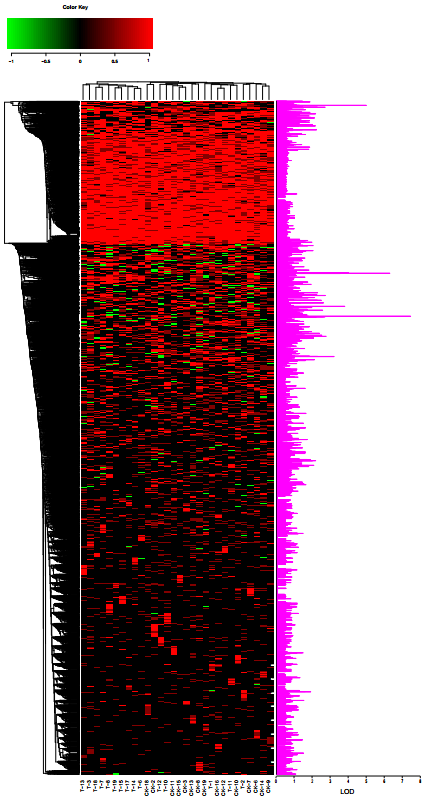 简化基因组GWAS测序分析示例1.png