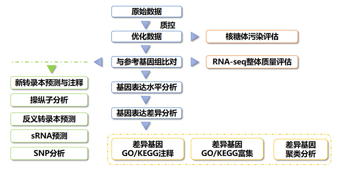 原核链特异性转录组技术流程.png